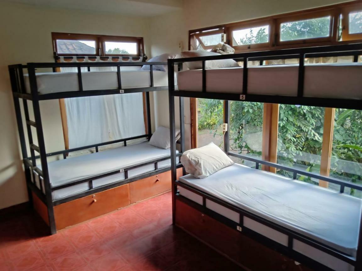 Uma Kutuh Bungalow Ubud Eksteriør billede